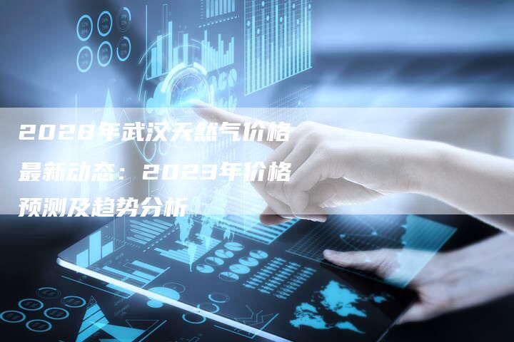 2028年武汉天然气价格最新动态：2023年价格预测及趋势分析